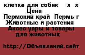 клетка для собак 120х79х83 › Цена ­ 7 350 - Пермский край, Пермь г. Животные и растения » Аксесcуары и товары для животных   